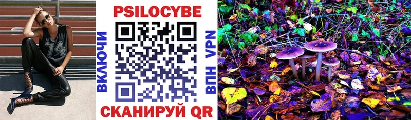 Купить закладки Владикавказ Псилоцибиновые грибы ЛСД